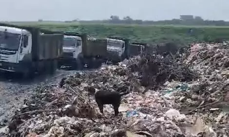 कचरे के पहाड़ों से हो रही परेशानी, डंपिग यार्ड में कचरे के ट्रकों की लग रही कतारें कचरे के पहाड़ों से हो रही परेशानी, डंपिग यार्ड में कचरे के ट्रकों की लग रही कतारें