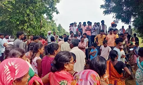 चंद्रपुर में बाघ का आतंक जारी, दूसरे ही दिन फिर एक चरवाहे को बनाया शिकार