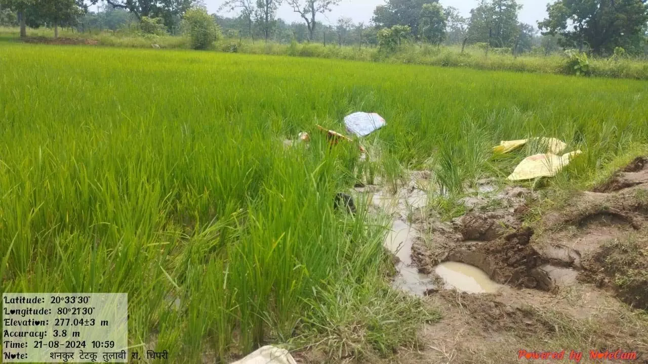 अब आरमोरी के वनक्षेत्र में दाखिल हुआ जंगली हाथियों का झुंड अब आरमोरी के वनक्षेत्र में दाखिल हुआ जंगली हाथियों का झुंड