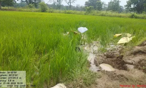 अब आरमोरी के वनक्षेत्र में दाखिल हुआ जंगली हाथियों का झुंड