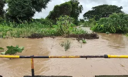 धारणी व चिखलदरा तहसील के 8 मंडल में अतिवृ़ष्टि से पानी में बह गई फसल धारणी व चिखलदरा तहसील के 8 मंडल में अतिवृ़ष्टि से पानी में बह गई फसल