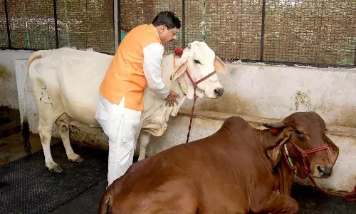 मंगल तिथियों पर आधारित जन्माष्टमी सभी के जीवन में मंगल ही मंगल करे- मुख्यमंत्री मोहन यादव मंगल तिथियों पर आधारित जन्माष्टमी सभी के जीवन में मंगल ही मंगल करे- मुख्यमंत्री मोहन यादव