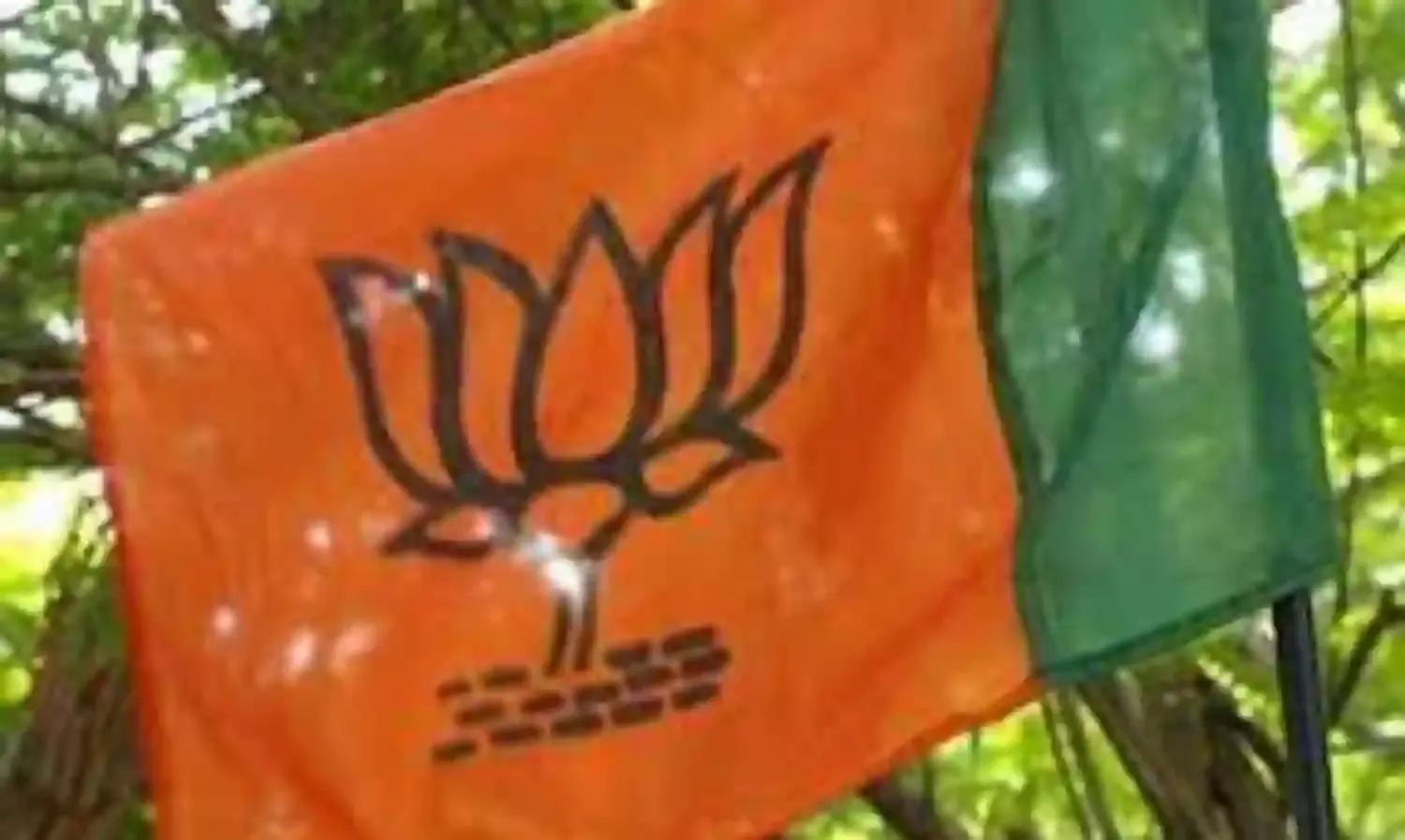 विधानसभा क्षेत्र स्तर पर चुनाव कार्य की कमान संभालेंगे पड़ोसी राज्यों के नेता-पदाधिकारी