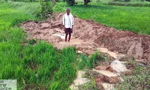 जंगली हाथियों ने गडचिरोली में फिर फसलें की तहस-नहस , किसान चिंता में घिरे