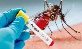 अमरावती में डेंगू से 12 वर्षीय बालक की मौत, आठ माह में मरीजों का आंकड़ा 200 पार अमरावती में डेंगू से 12 वर्षीय बालक की मौत, आठ माह में मरीजों का आंकड़ा 200 पार