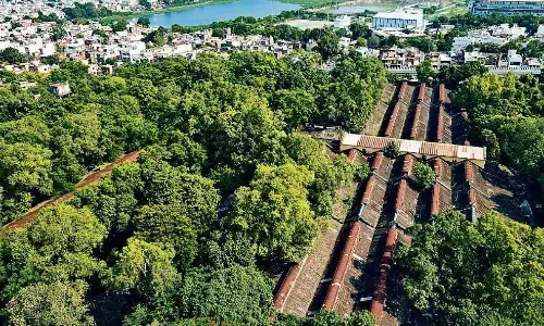 टेलीकाॅम के अर्बन फाॅरेस्ट का फिर से किया जाए सर्वे टेलीकाॅम के अर्बन फाॅरेस्ट का फिर से किया जाए सर्वे