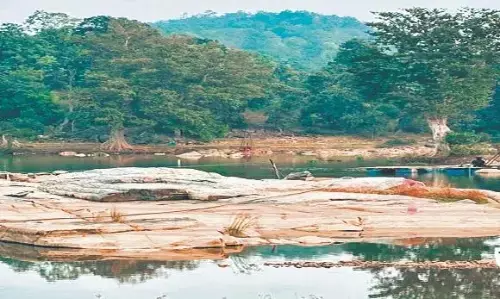 जिस नलकूप ने निगली दो जिंदगी, उसके पानी को पीएचई ने दी क्लीन चिट, जांच रिपोर्ट में पानी को बताया शुद्ध, कलेक्टर ने दिए जांच के आदेश जिस नलकूप ने निगली दो जिंदगी, उसके पानी को पीएचई ने दी क्लीन चिट, जांच रिपोर्ट में पानी को बताया शुद्ध, कलेक्टर ने दिए जांच के आदेश