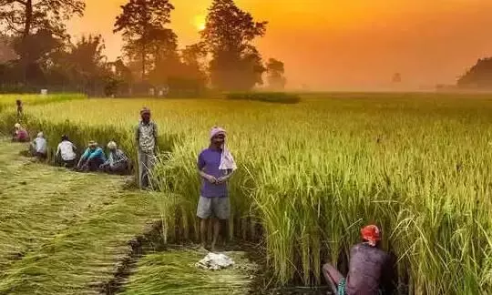 अब किसानों को दिन में मिल सकेगी बिजली, खेतों को दिन में भी दिया जा सकेगा पानी अब किसानों को दिन में मिल सकेगी बिजली, खेतों को दिन में भी दिया जा सकेगा पानी