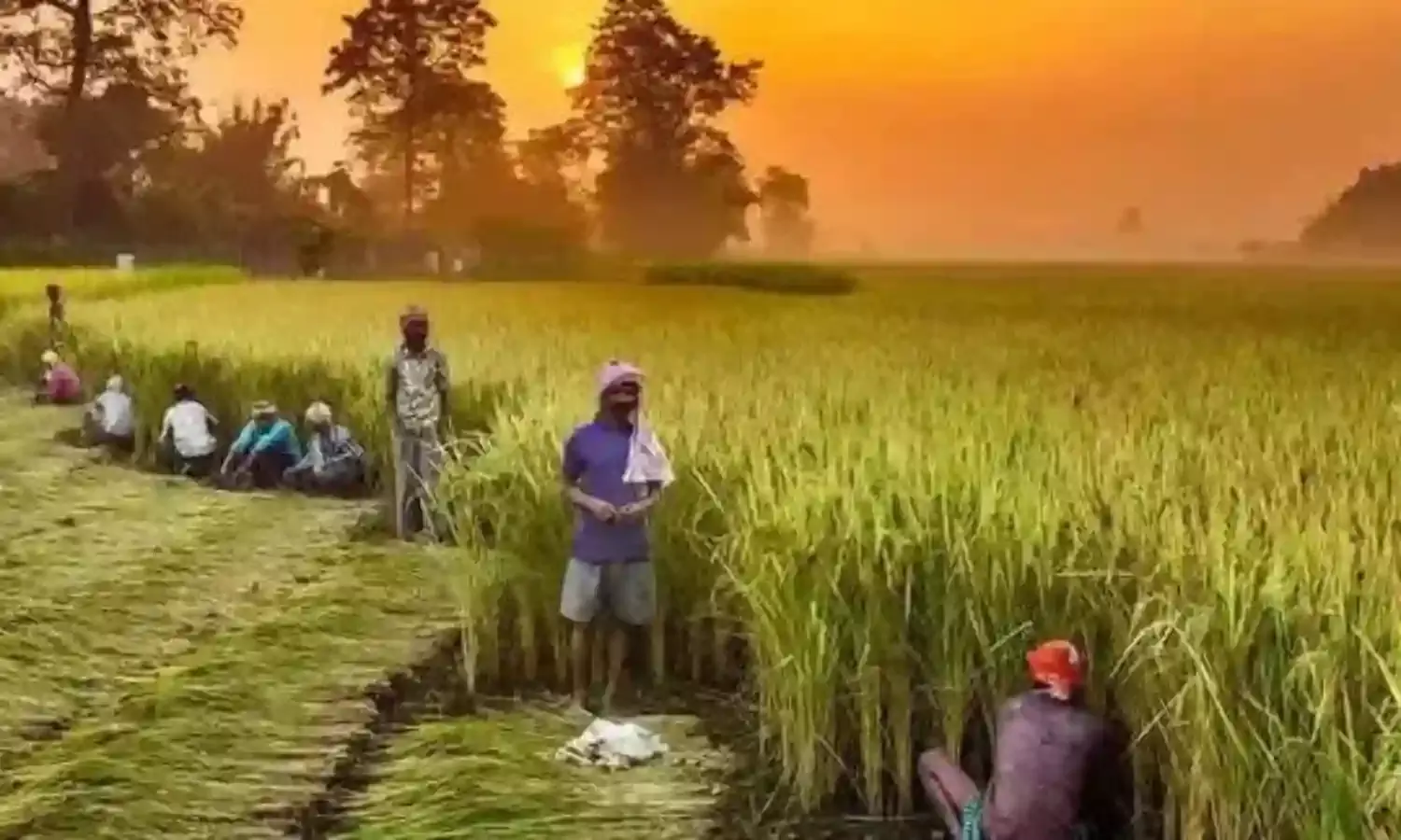 अब किसानों को दिन में मिल सकेगी बिजली, खेतों को दिन में भी दिया जा सकेगा पानी