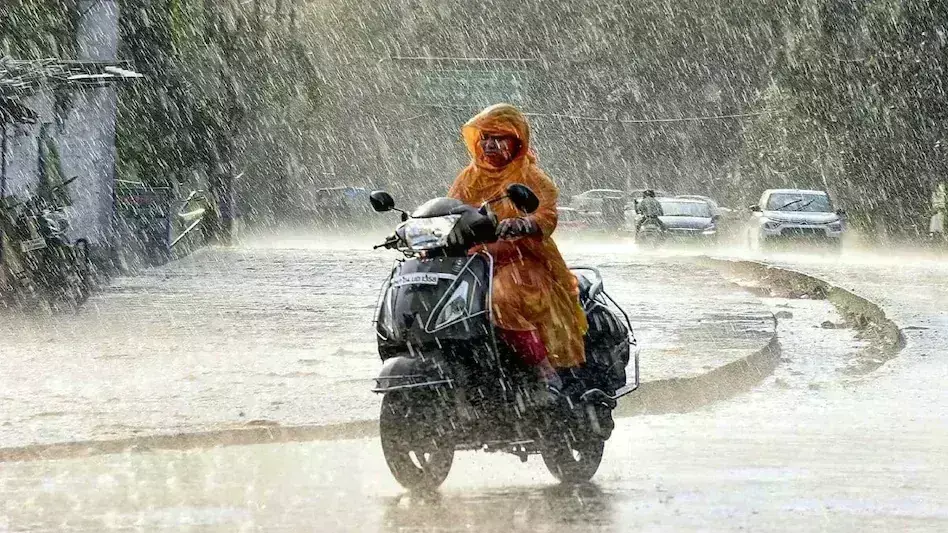 पोला त्यौहार पर सजे बाजारों की रौनक बारिश ने कर दी फीकी, जमकर बरसे बदरा