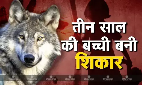 तीन साल की बच्ची बनी शिकार, अब तक नौ लोगों की जान ले चुके हैं खूंखार भेड़िये, 4 पकड़ाए, गांववालों का दावा- दो दर्जन अब भी आजाद