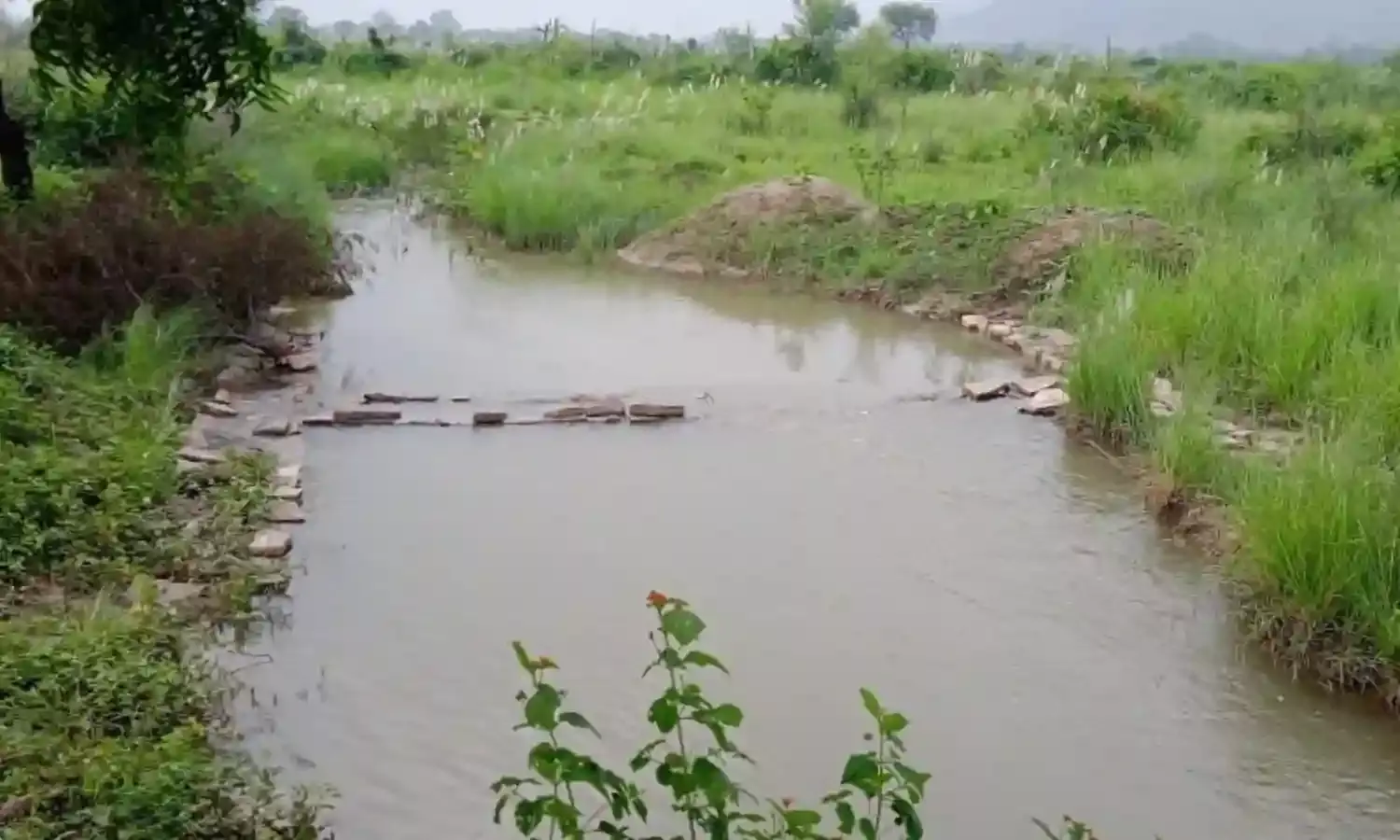 गुणवत्ता विहीन बोल्डर, चैक डेम पहली बारिश में ही बहे, लाखों रुपए खर्च कर किया गया था निमार्ण कार्य