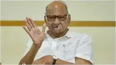 चुनाव बाद सीटों का संख्या बल ही तय करेगा कि आघाडी का नेतृत्व कौन करेगा - शरद पवार