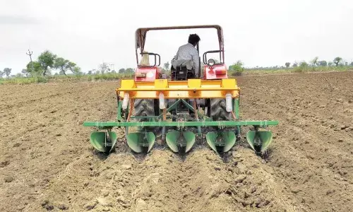 कृषि विभाग ने बताया - राज्य में खरीफ फसलों की हुई 102 प्रतिशत बुवाई