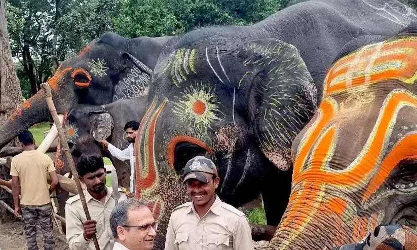 बांधवगढ टाईगर रिजर्व में हाथी महोत्सव का हुआ आगाज, सात दिवस तक हाथियों की चलेगी पिकनिक