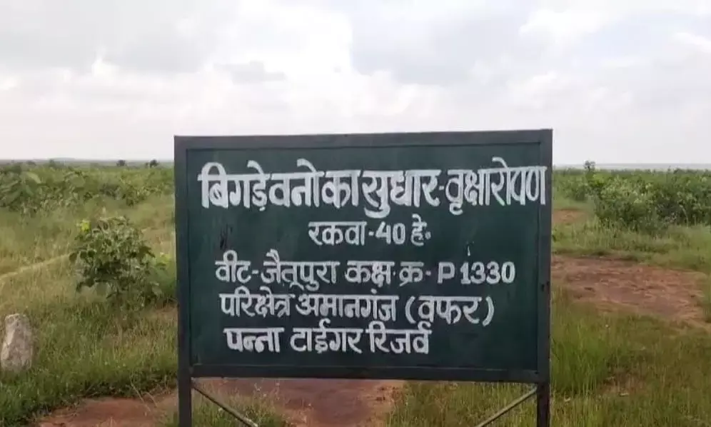 बिगडे वनों के सुधार के लिए शासन से स्वीकृत बजट को ठिकाने लगाने के लग रहे आरोप