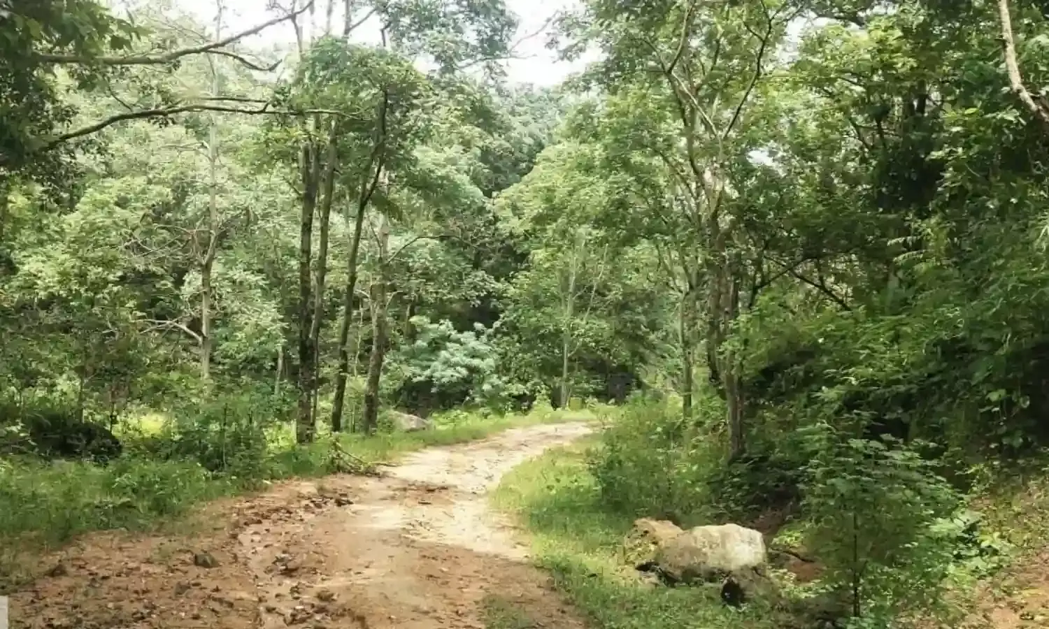 आजादी के बाद पहली बार पक्की सडक़ से जुड़ेंगे जिले के 8 गांव-टोला