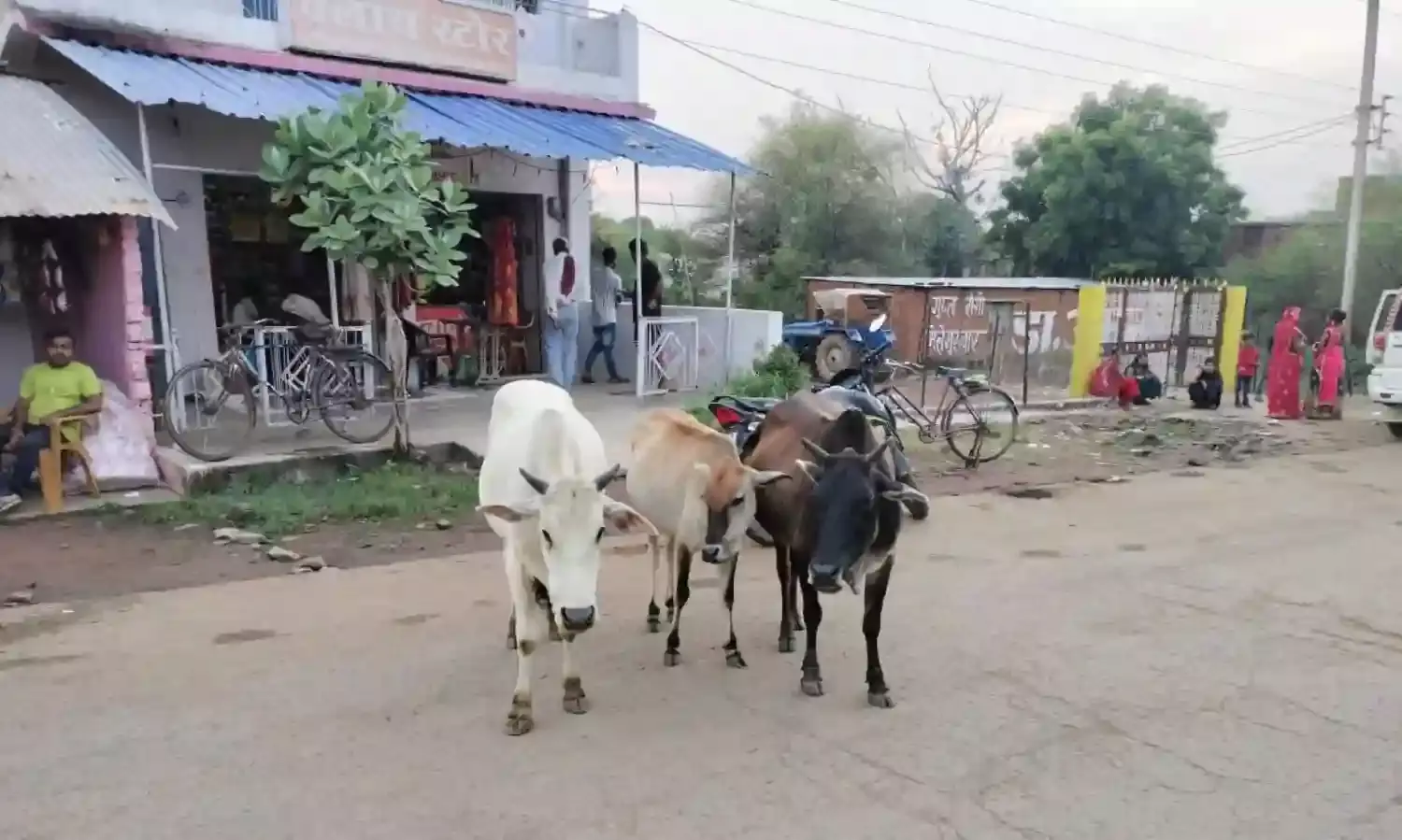 ऐरा पशुओं के खून से लथपथ हो रही है हर दिन सड़क