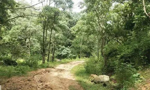 आजादी के बाद पहली बार पक्की सडक़ से जुड़ेंगे जिले के 8 गांव-टोला आजादी के बाद पहली बार पक्की सडक़ से जुड़ेंगे जिले के 8 गांव-टोला