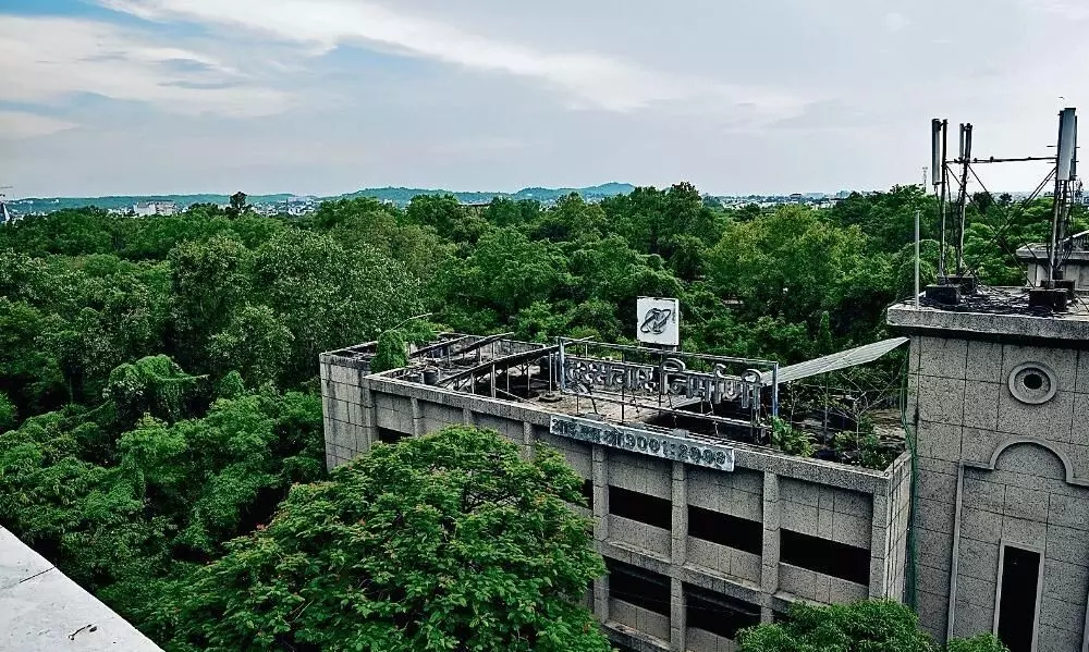 एयर क्वाॅलिटी इंडेक्स को बेहतर बनाए हुए है टेलीकाॅम का जंगल एयर क्वाॅलिटी इंडेक्स को बेहतर बनाए हुए है टेलीकाॅम का जंगल