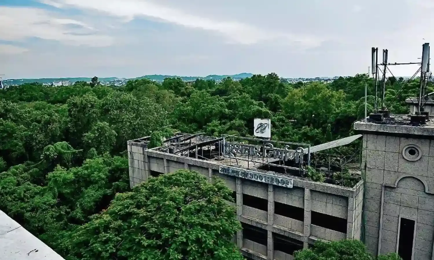 एयर क्वाॅलिटी इंडेक्स को बेहतर बनाए हुए है टेलीकाॅम का जंगल