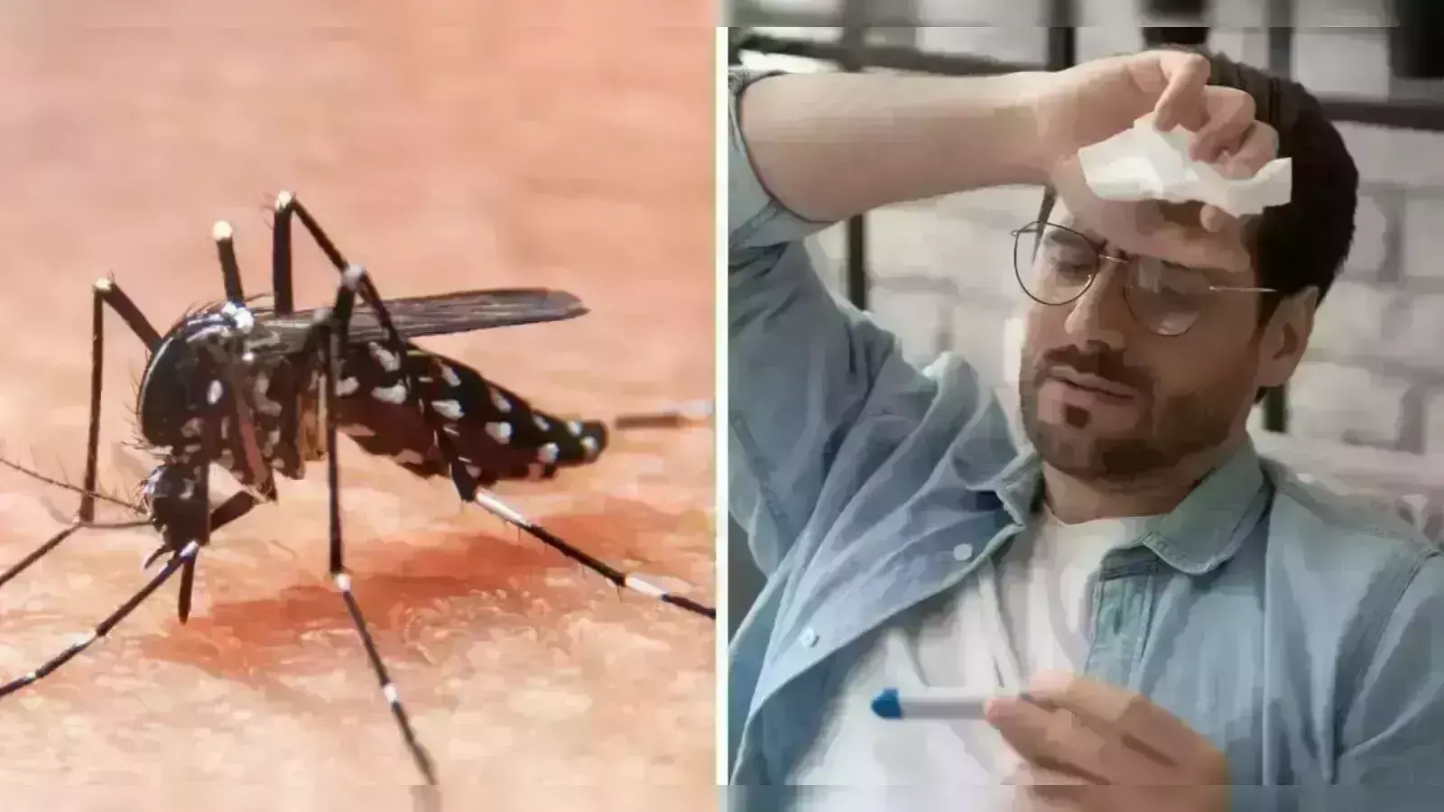 सितंबर में भी कम नहीं हो रहा डेंगू- चिकनगुनिया का प्रकोप, त्यौहारों का मजा हुआ किरकिरा