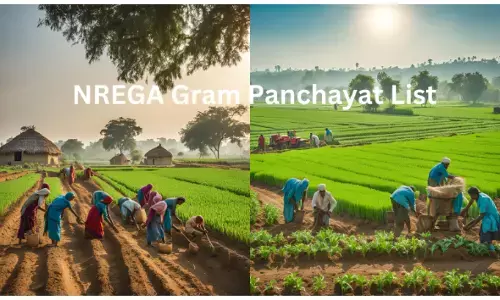 NREGA Gram Panchayat List क्या है और इसे कैसे देखें ? NREGA Gram Panchayat List क्या है और इसे कैसे देखें ?