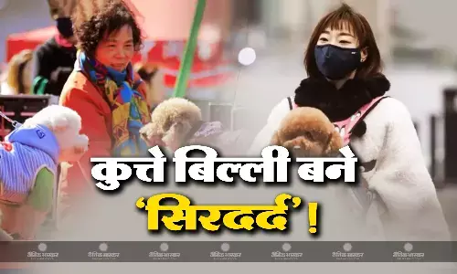 चीन में बच्चों से ज्यादा कुत्ते-बिल्ली होने की संभावना, आबादी का नियम बदलने के बाद युवाओं की नई पसंद बन रही सरकार के लिए सिरदर्द चीन में बच्चों से ज्यादा कुत्ते-बिल्ली होने की संभावना, आबादी का नियम बदलने के बाद युवाओं की नई पसंद बन रही सरकार के लिए सिरदर्द