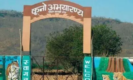 केंद्र और मध्य प्रदेश सरकार के विभागों के बीच समन्वय की कमी सामने आई