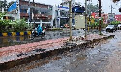 शहडोल- मानसून सीजन के 14 दिन बाकी, जिले में पिछले साल की तुलना में अब तक 3 इंच ज्यादा बारिश