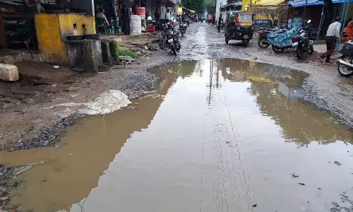 वार्ड की गलियों से लेकर मुख्य मार्ग पर गड्ढों की भरमार