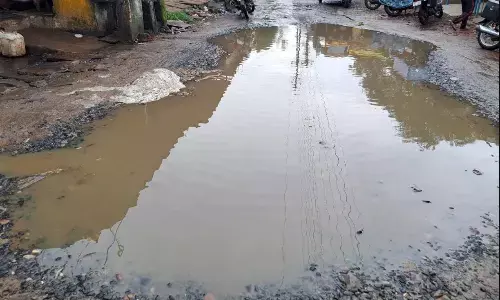 गड्ढों के बीच सडक़ की तलाश, वार्ड की गलियों से लेकर मुख्य मार्ग पर गड्ढों की भरमार, झटके खाने विवश वाहन चालक