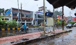 शहडोल- मानसून सीजन के 14 दिन बाकी, जिले में पिछले साल की तुलना में अब तक 3 इंच ज्यादा बारिश