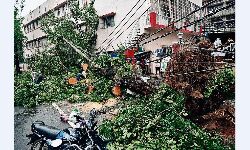 Jabalpur News: 10 हजार घरों की बिजली बंद, घंटों परेशान रहे लोग