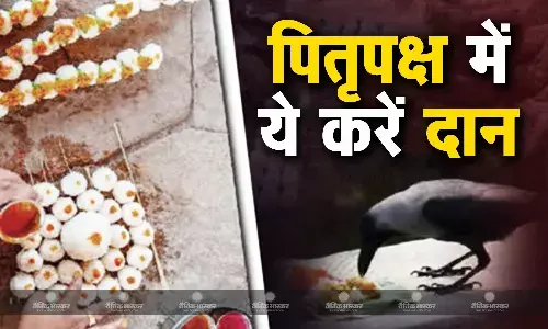 पितृ पक्ष में करें इन चीजों का दान, प्रसन्न हो जाएंगे पितृ, समस्याओं से मिलेगी छुट्टी