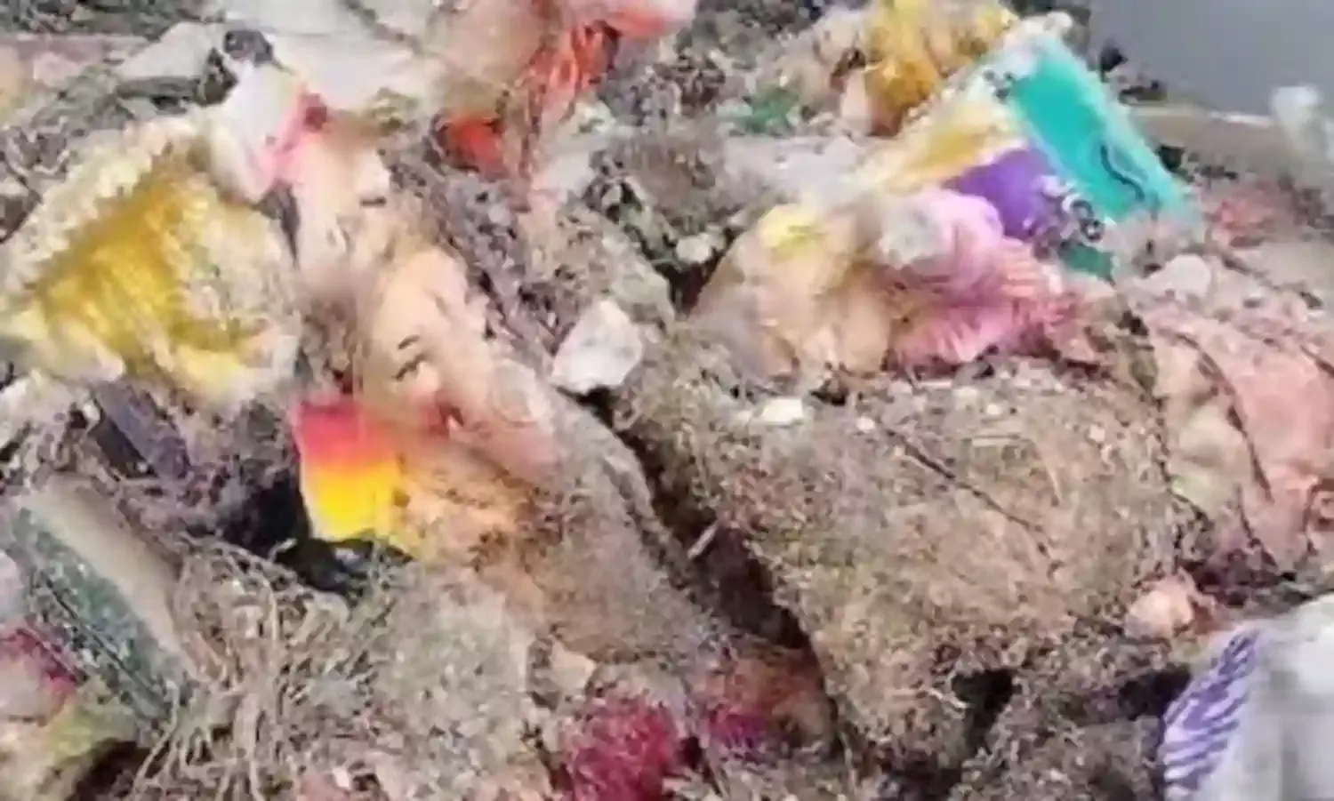 पीओपी की मूर्तियों को लेकर मनपा के पास अबतक कोई ठोस उपाय नहीं, लगा अनदेखी का आरोप