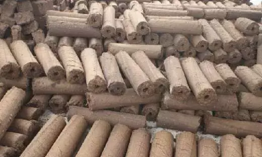श्मशान भूमि में लकड़ी की बजाय गोकाष्ठ के इस्तेमाल पर अध्ययन के लिए समिति