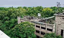 Jbalapur News: टेलीकाॅम फैक्ट्री की जमीन को ग्रीन बेल्ट में किया जाए शामिल Jbalapur News: टेलीकाॅम फैक्ट्री की जमीन को ग्रीन बेल्ट में किया जाए शामिल