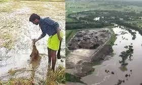 बेमौसम बारिश और अतिवृष्टि से फसलों का हुए नुकसान के लिए 73 करोड़ रुपए की मदद