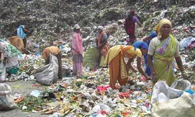 नागपुर शहर की दोनों कचरा संकलन कंपनियों को तीन माह में किश्तों में होगा भुगतान