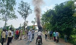 Panna News-इंदौर से कटनी जा रही यात्री बस में अचानक लगी आग, बस जलकर हुई खाक Panna News-इंदौर से कटनी जा रही यात्री बस में अचानक लगी आग, बस जलकर हुई खाक