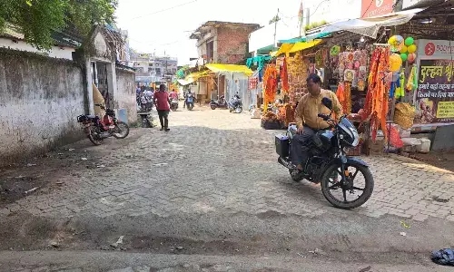 पेवरब्लॉक सडक़ निर्माण पर भाजपा के पार्षद ने जताई आपत्ति