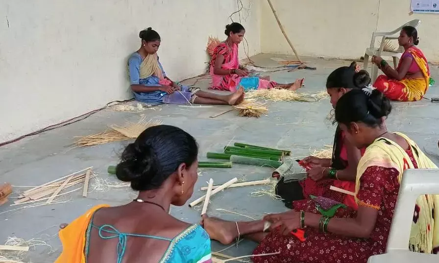 पालघर की पहाड़ियों और बंजर जमीन पर लहलहा रही फसल - किस्मत बदलेगा हरा सोना