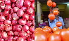 अब टमाटर भी रियायती दर पर बेच सकती है सरकार, प्याज बेच रही 35 रूपए प्रति किलो अब टमाटर भी रियायती दर पर बेच सकती है सरकार, प्याज बेच रही 35 रूपए प्रति किलो