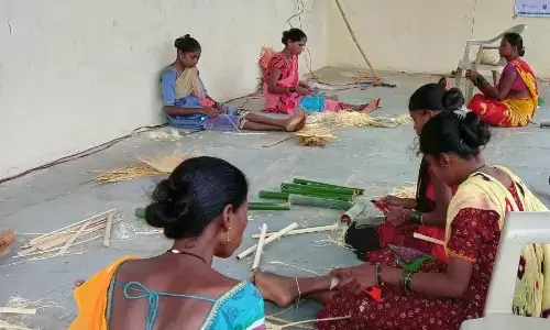 पालघर की पहाड़ियों और बंजर जमीन पर लहलहा रही फसल - किस्मत बदलेगा हरा सोना