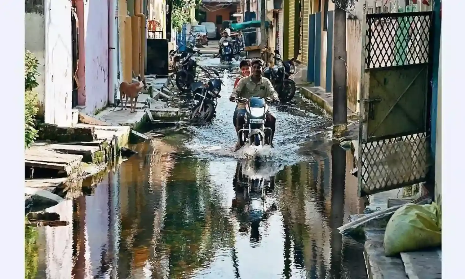 अतिक्रमण निगल गया माढ़ोताल तालाब के जल निकासी के रास्ते, अब कॉलोनी में भर रहा पानी