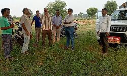 Panna News:एक दर्जन से अधिक गौवंशों की संदिग्ध मौत, अज्ञात द्वारा जहरीला पदार्थ खिलाकर गौवंशीय पशुओं को मारने का आरोप Panna News:एक दर्जन से अधिक गौवंशों की संदिग्ध मौत, अज्ञात द्वारा जहरीला पदार्थ खिलाकर गौवंशीय पशुओं को मारने का आरोप