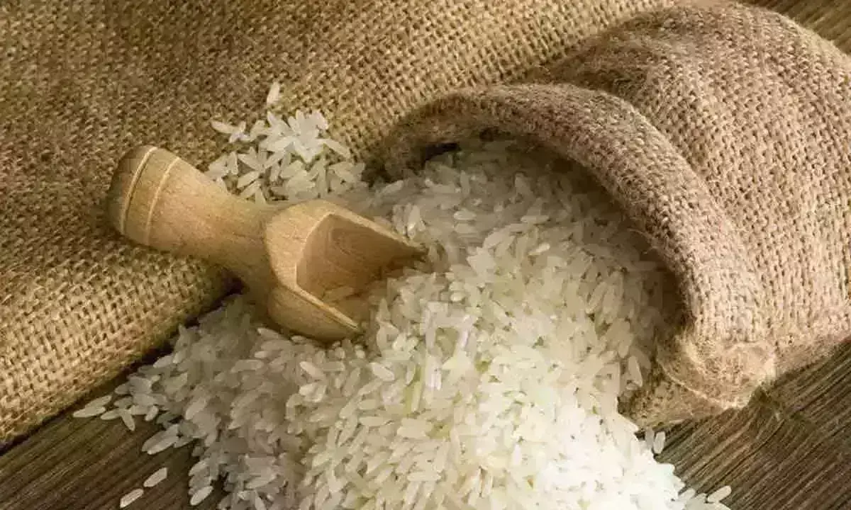 मुख्य फसलों में 2023-24 के लिए चावल का उत्पादन रिकॉर्ड 1,378 लाख टन अनुमानित मुख्य फसलों में 2023-24 के लिए चावल का उत्पादन रिकॉर्ड 1,378 लाख टन अनुमानित