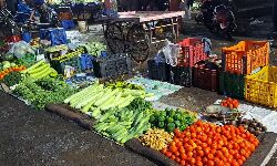 Shahdol News: रिकॉर्ड तोड़ महंगाई से शहरी मध्यमवर्गीय परिवारों के किचन से दूर हुई सब्जी Shahdol News: रिकॉर्ड तोड़ महंगाई से शहरी मध्यमवर्गीय परिवारों के किचन से दूर हुई सब्जी