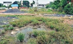 Jabalpur News: बिल्डरों को बेची सहकारी सोसायटी ने जमीन